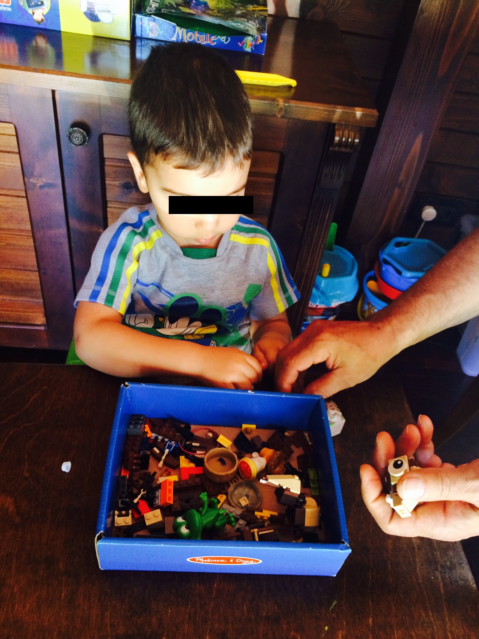 Micutul Eduard contribuie si el la realizarea casutei