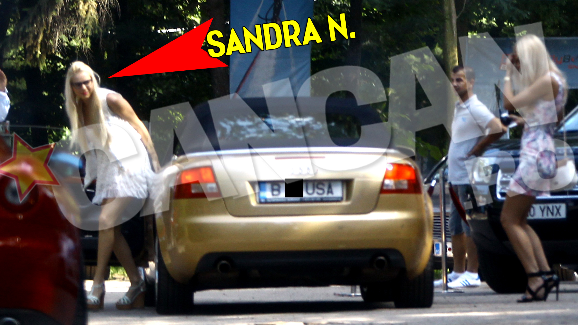 Blonda si politicianul au iesit, duminica dupa-amiaza, la un restaurant de pe malul Lacului Snagov