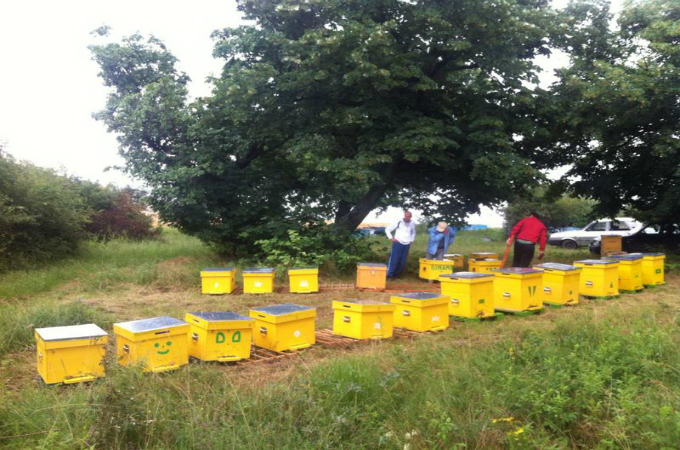 Aceasta este gradina in care a pus stupii Cristi Munteanu> Gradina din casa parinteasca”/><figcaption>Aceasta este gradina in care a pus stupii Cristi Munteanu> Gradina din casa parinteasca</figcaption></figure>
<p>Totusi, Cristi Munteanu spune ca principala sa afacere este legata de atelierul de creatie vestimentara pe care-l detine la Galati. Impreuna cu iubita lui, acesta a deschis la inceputul acestui an “Atelierul Cristi Munteanu” si un magazine de desfacere intr-un mall din orasul de la Dunare.</p>
<p>In plus,“Babicu” nu s-a rupt total de fotbal, fostul portar fiind colaboratorul postului Sport.ro pentru emisiunile de specialitate.</p>
<p><a href=