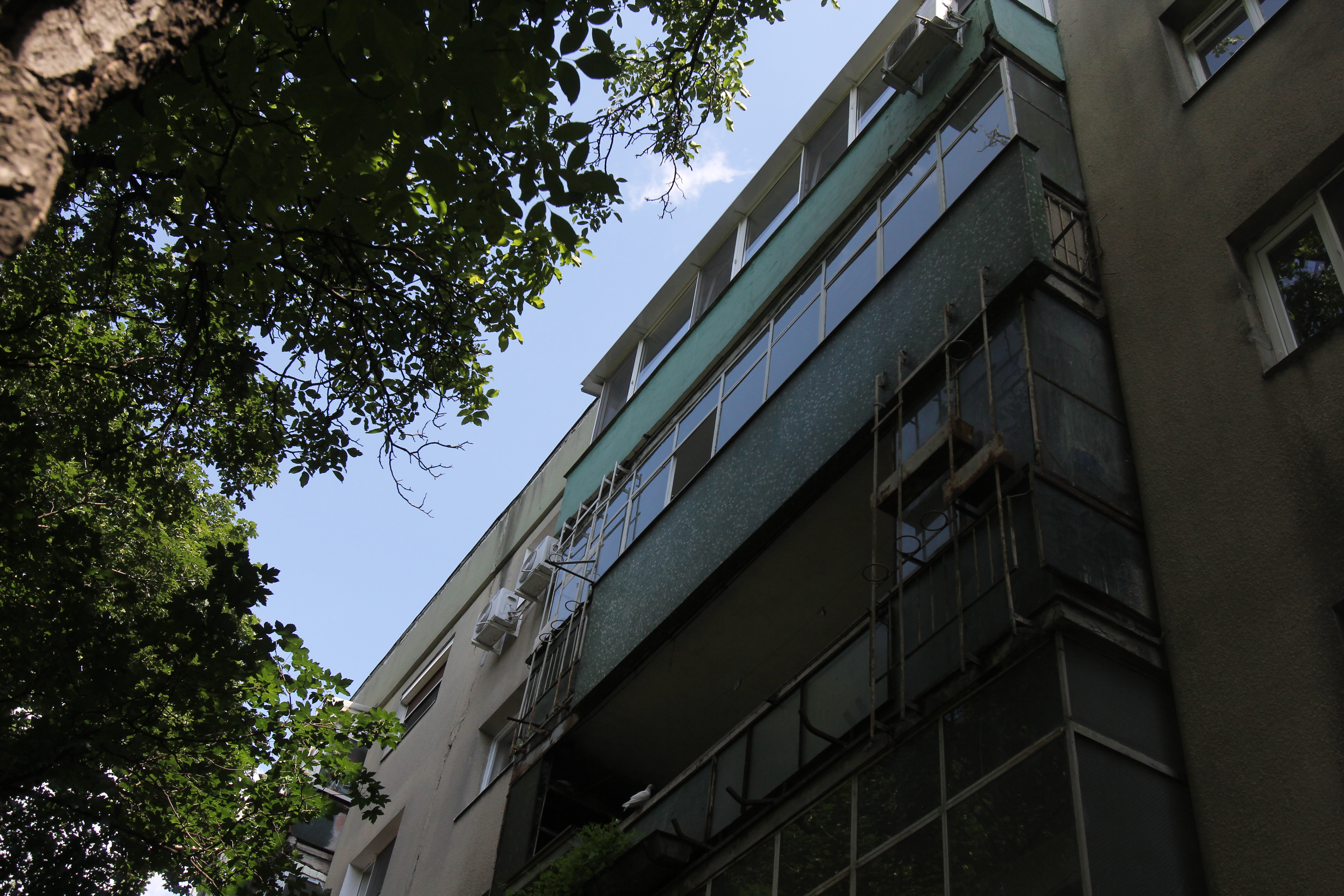 Cunoscutul profesor spune ca seismele nu pot fi prezise cu exactitate