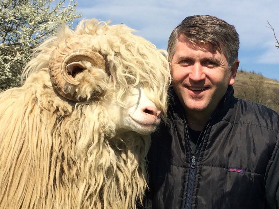 Pomohaci s-a pozat cu oile care-i aduc o gramada de bani