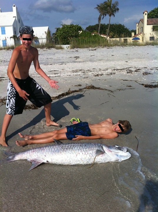 Baietii baschetbalistului se distreaza in excursii prin Statele Unite