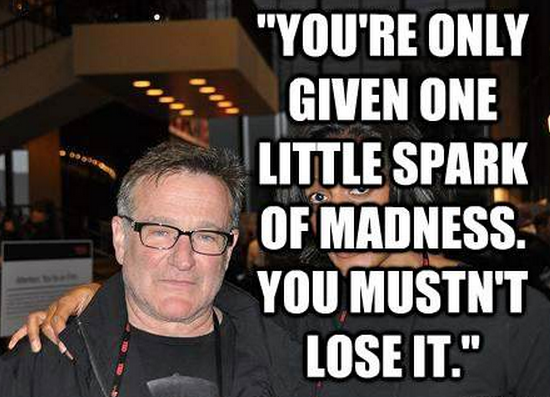 robin williams