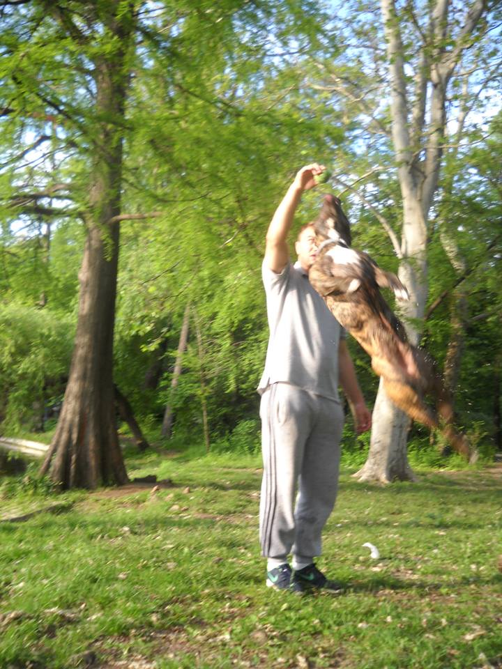 De cate ori are ocazia, Bogdan se joaca cu animalul in parc