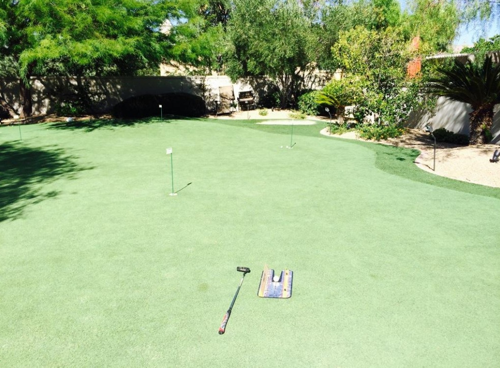 Asa arata terenul de golf a lui Negreanu