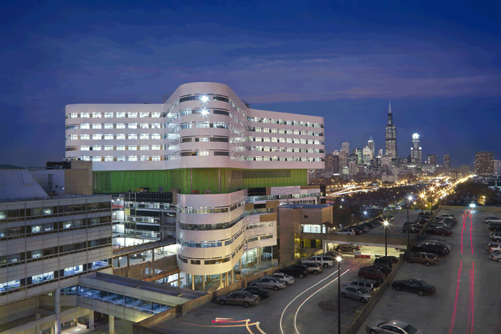 Predescu lucreaza la celebra Rush University din Chicago