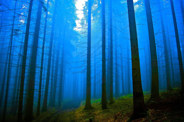 In muntii Buzaului se intalneste fenomenul de