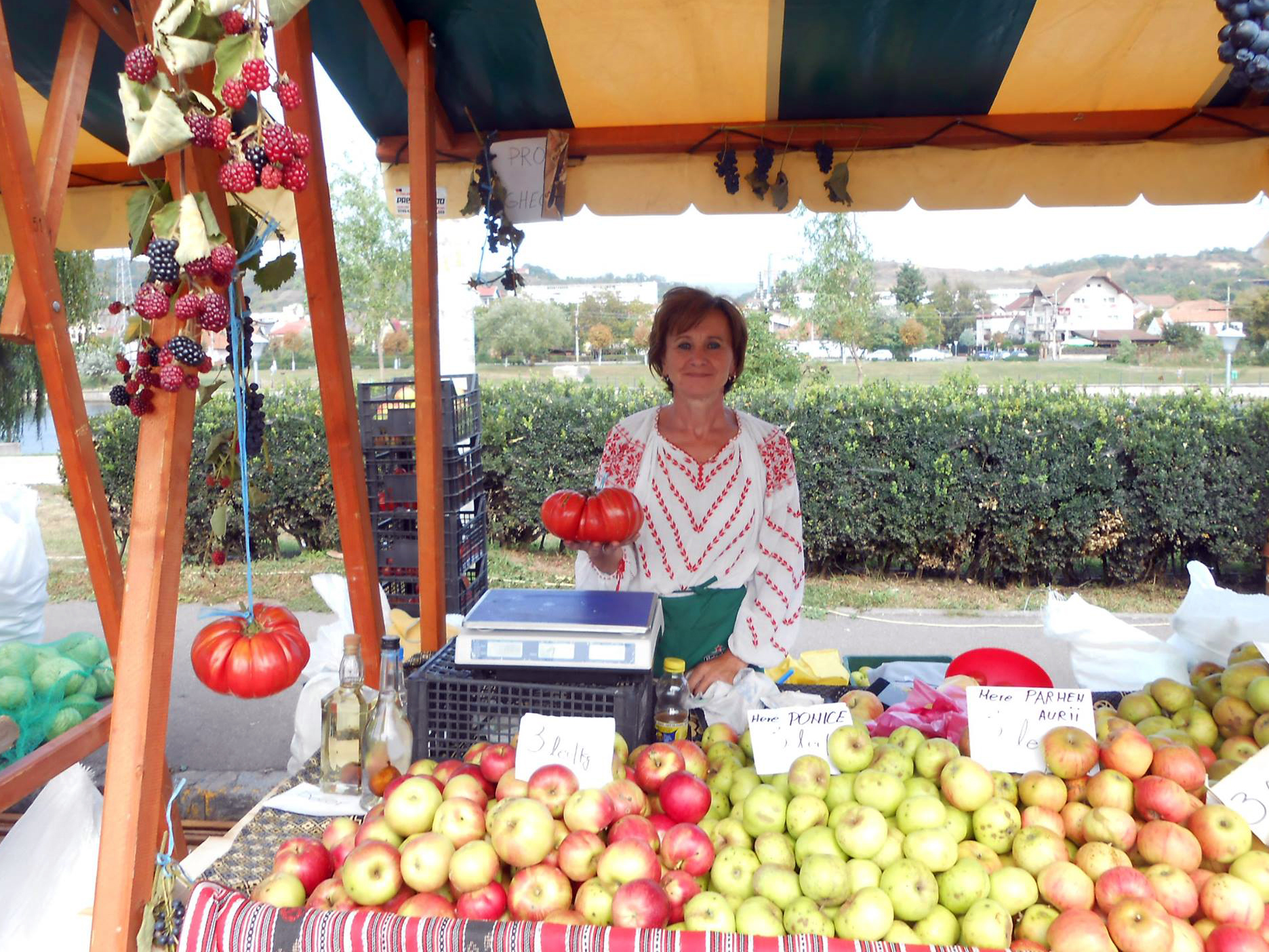 Doamna Luca a vandut mere si pere la taraba