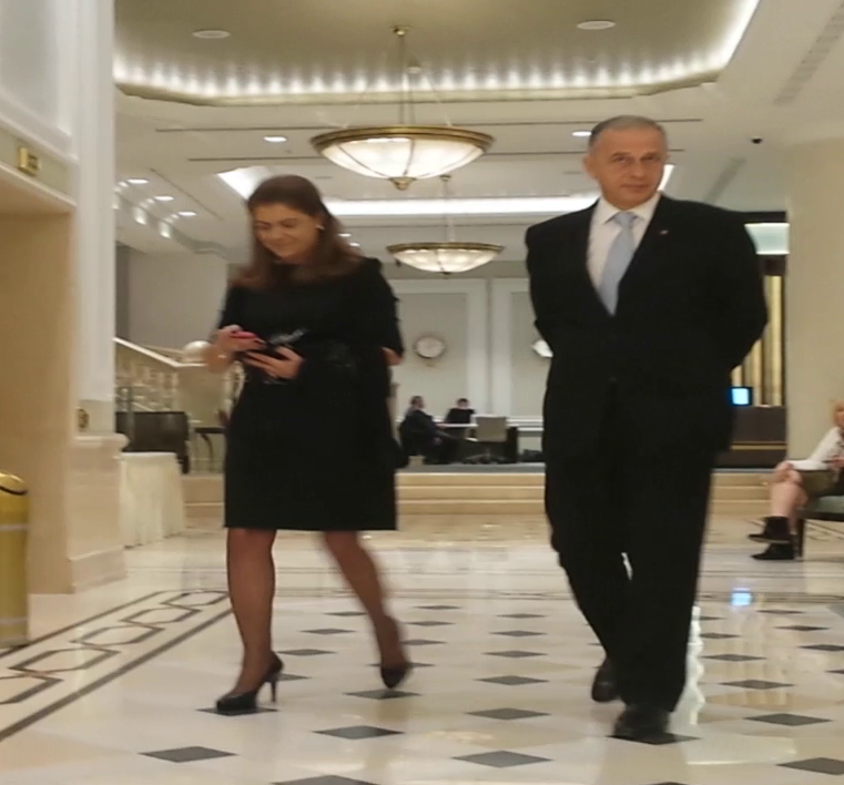 mihaela si mircea geoana