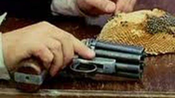 Acestea au fost pistoalele furate de hoti