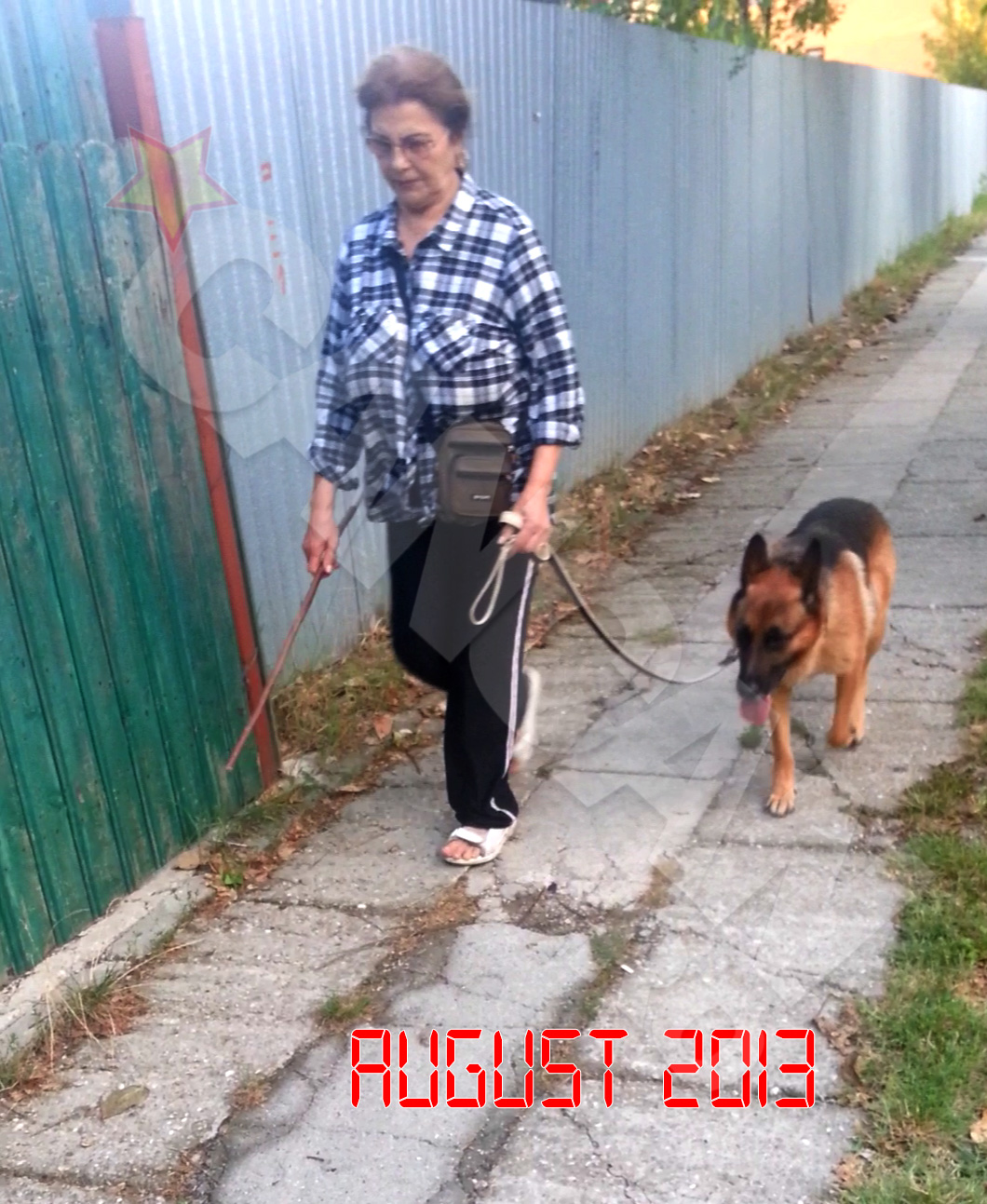 Irina Loghin iese in fiecare zi, la o plimbare lunga, alaturi de cainele ei, Tomi