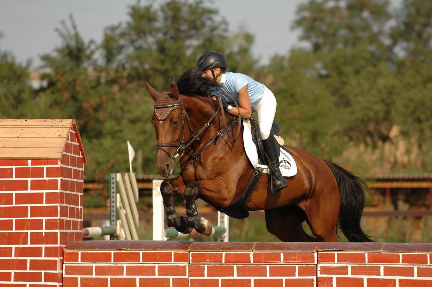 Ioana Ganea a castigat mai multe consuri de echitatie destinate juniorilor