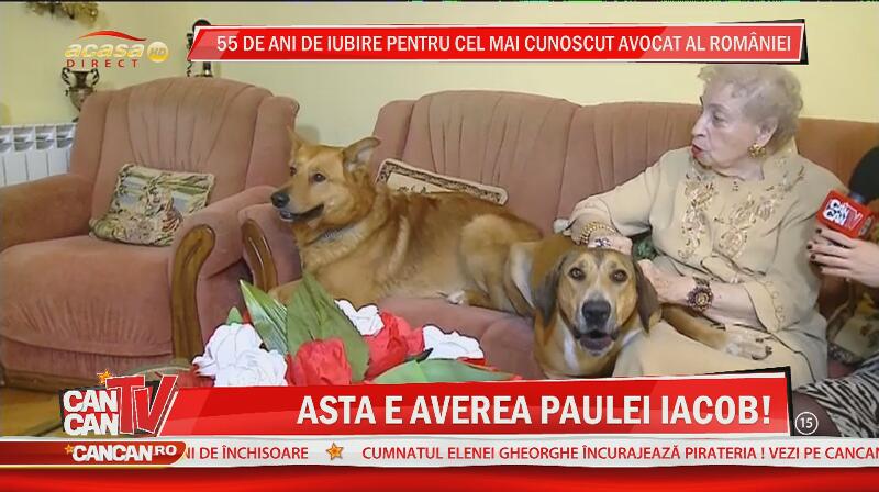 Paula Iacob a cazut casa