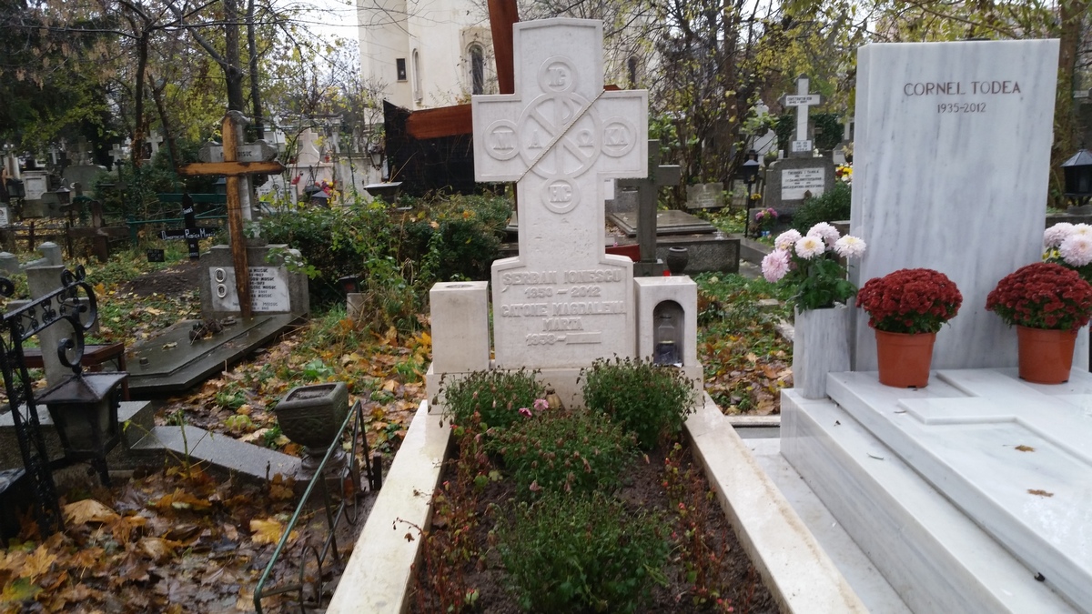 Mormantul marelui artist Serban Ionescu este ingrijit de mama acestuia si de fosta iubita