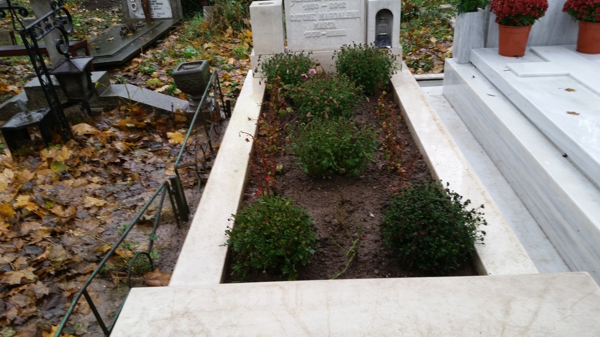 Cel mai des la capataiul artistului vin mama acestuia, fosta iubita, dar si fiul sau, Carol Ionescu