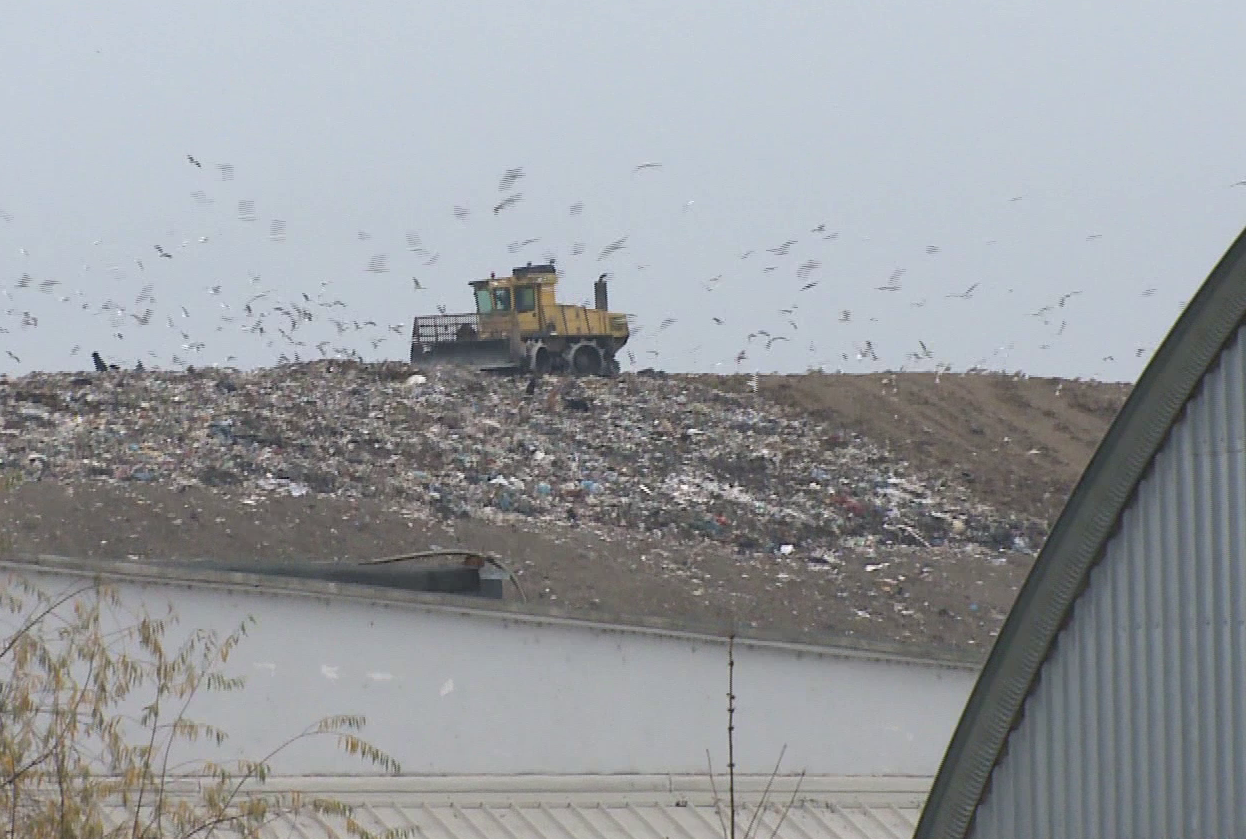 In timpul vizitei fotbalistilor, activitatea de la groapa de gunoi s-a desfasurat in mod normal