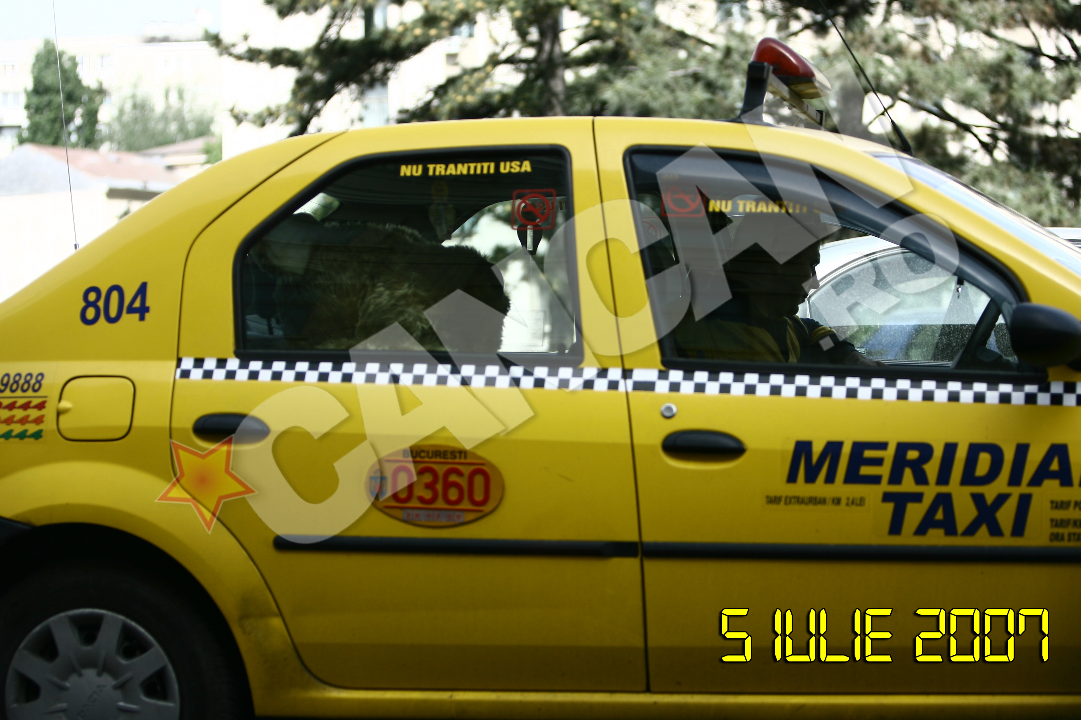 Pentru a ajunge la destinatar, catelusul plus a mers si cu taxiul