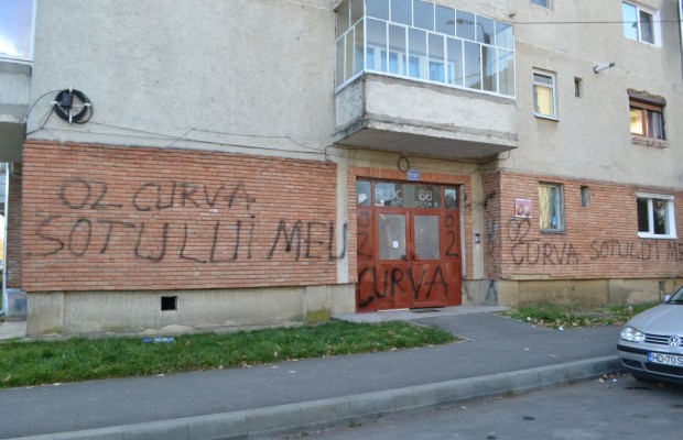 Asa s-a razbunat femeia inselata (foto:redesteptarea.ro)