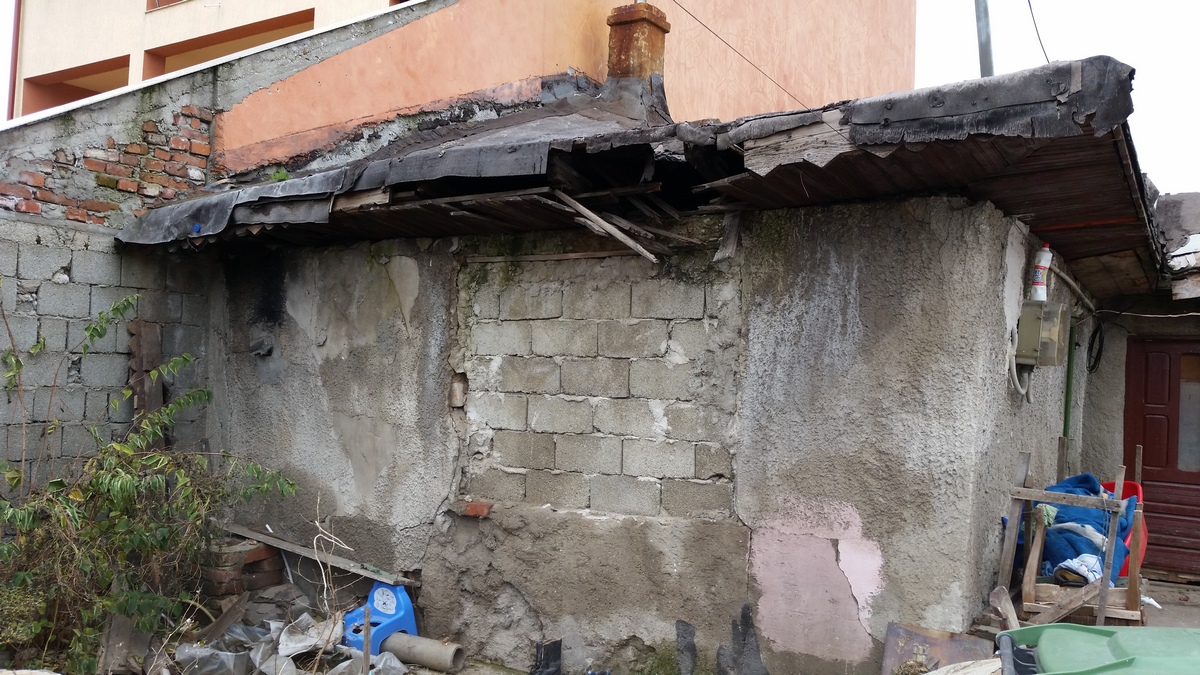 Alina nu castiga mai mult de 300 de lei pe luna, iar din asta trebuie sa cumpere si de mancare si sa repare casa