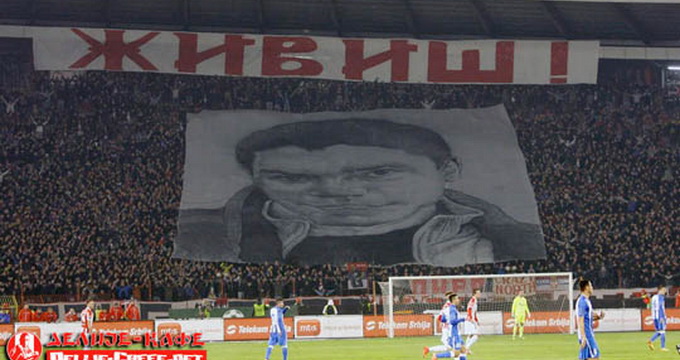 suporter sarb principala