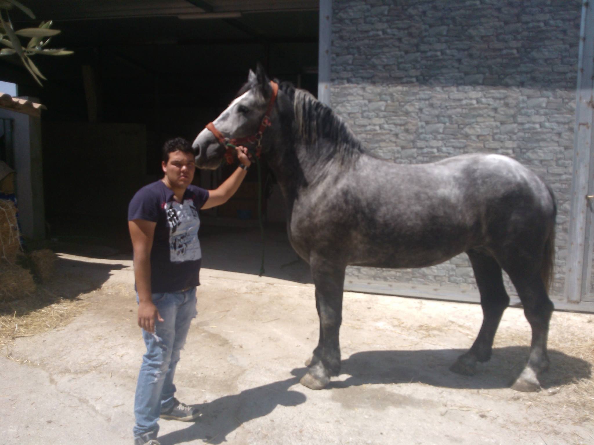 Angelo a fost retinut pentru uciderea Alinei