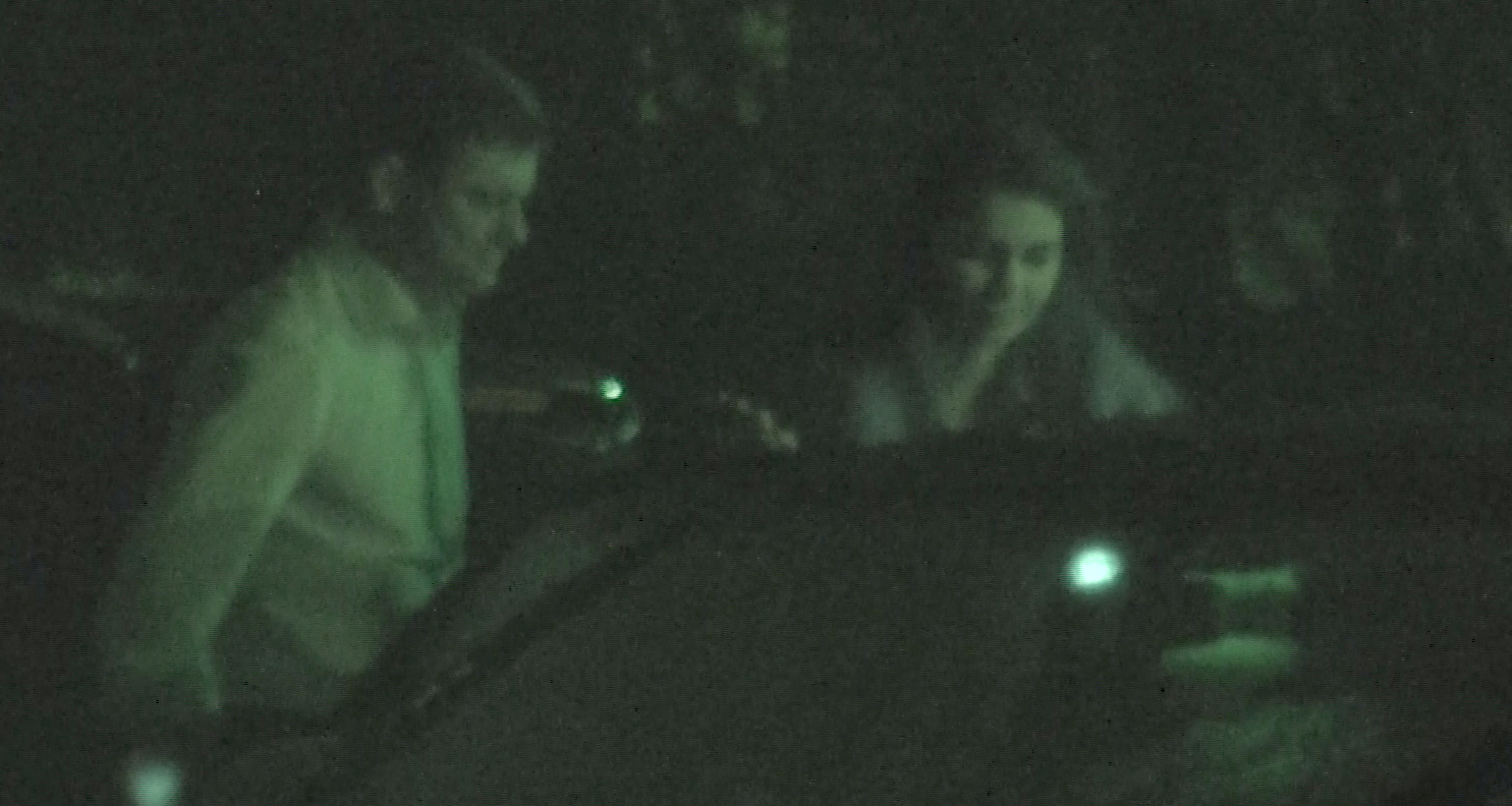 Bruneta a ramas totusi cu Boureanu