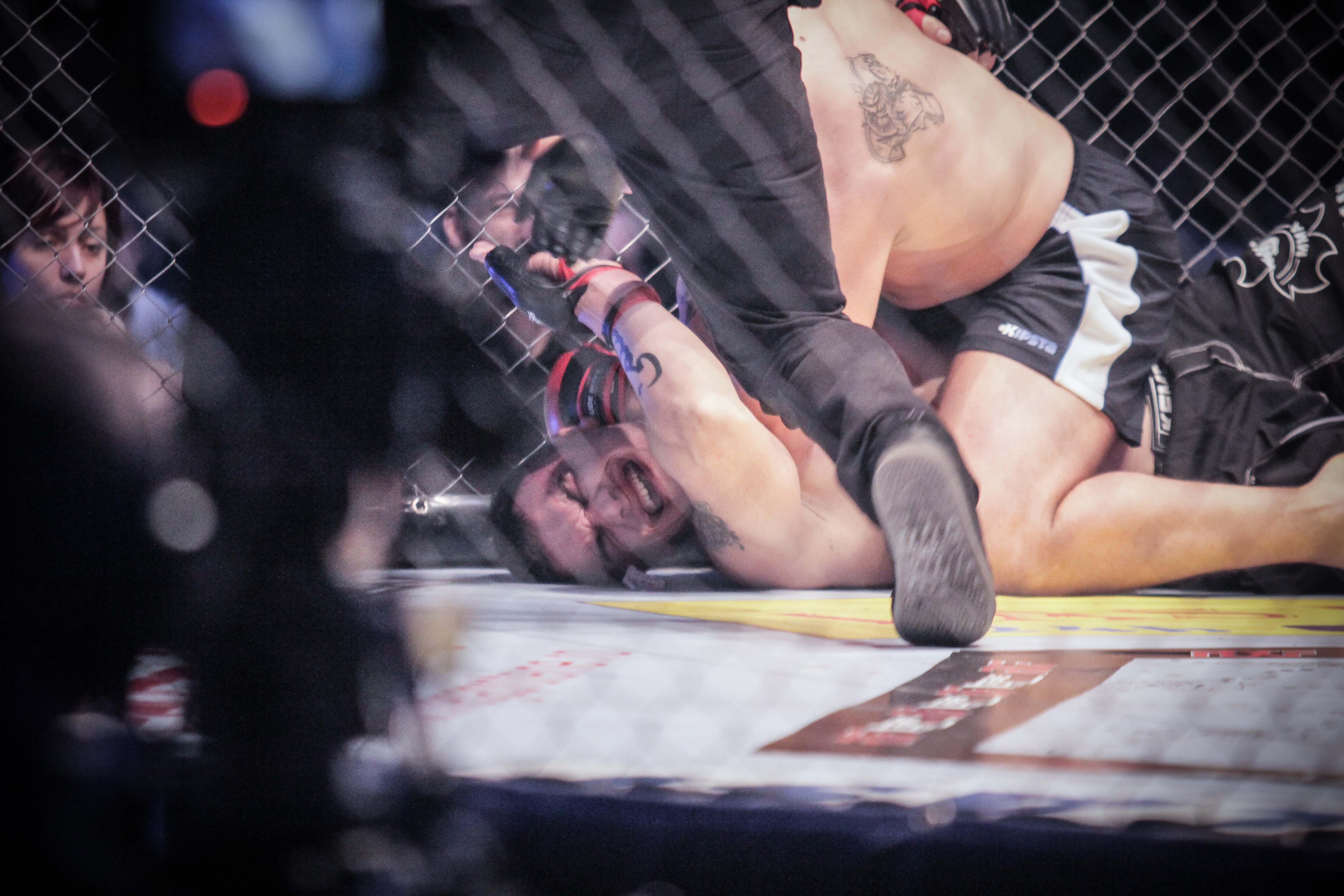 Multe dintre lupte s-au terminat la sol