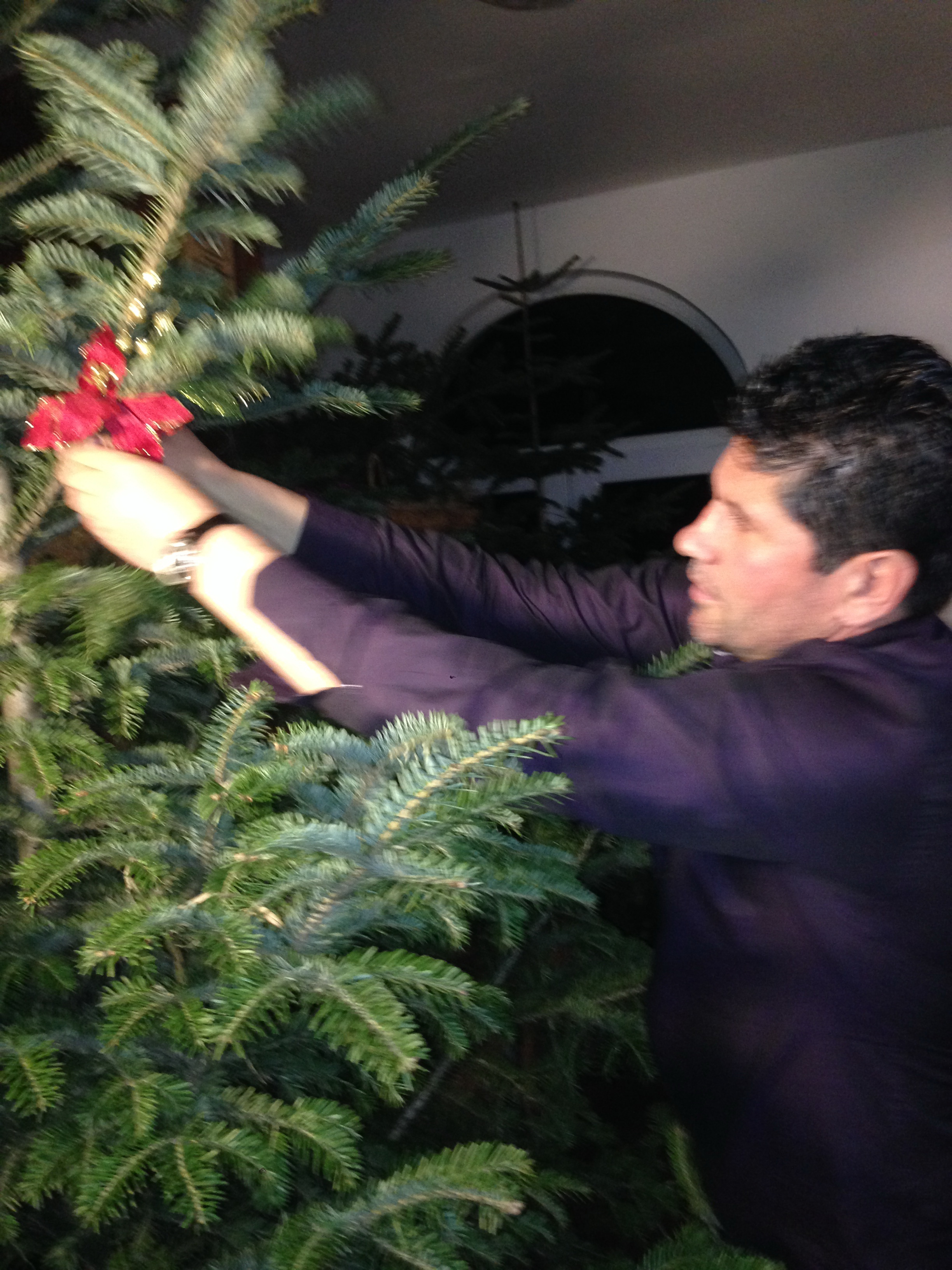 Stelian Ogica asteapta Sarbatorile de Iarna