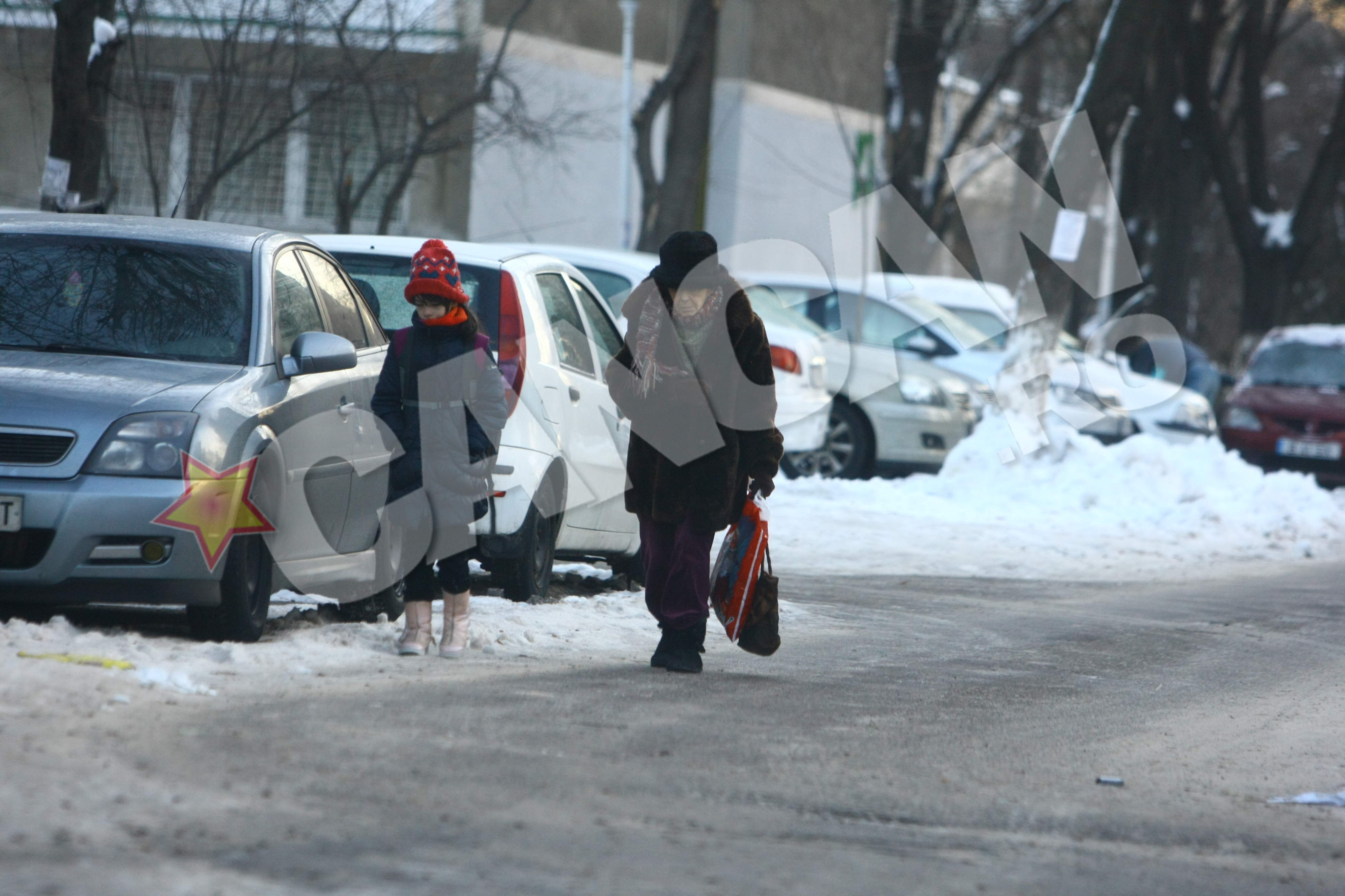 Adriana Iliescu se deplaseaza greu pe gheata