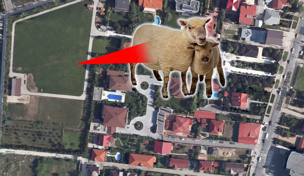 Din satelit se vede locul in care Gigi Becali isi creste oile, chiar in spatele casei sale