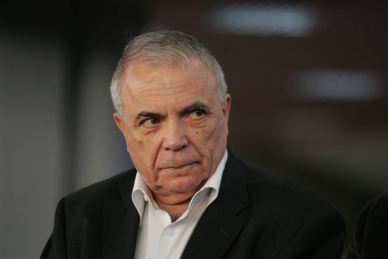Mai multi scriitori solicita demisia lui Nicolae Manolescu, presedintele USR