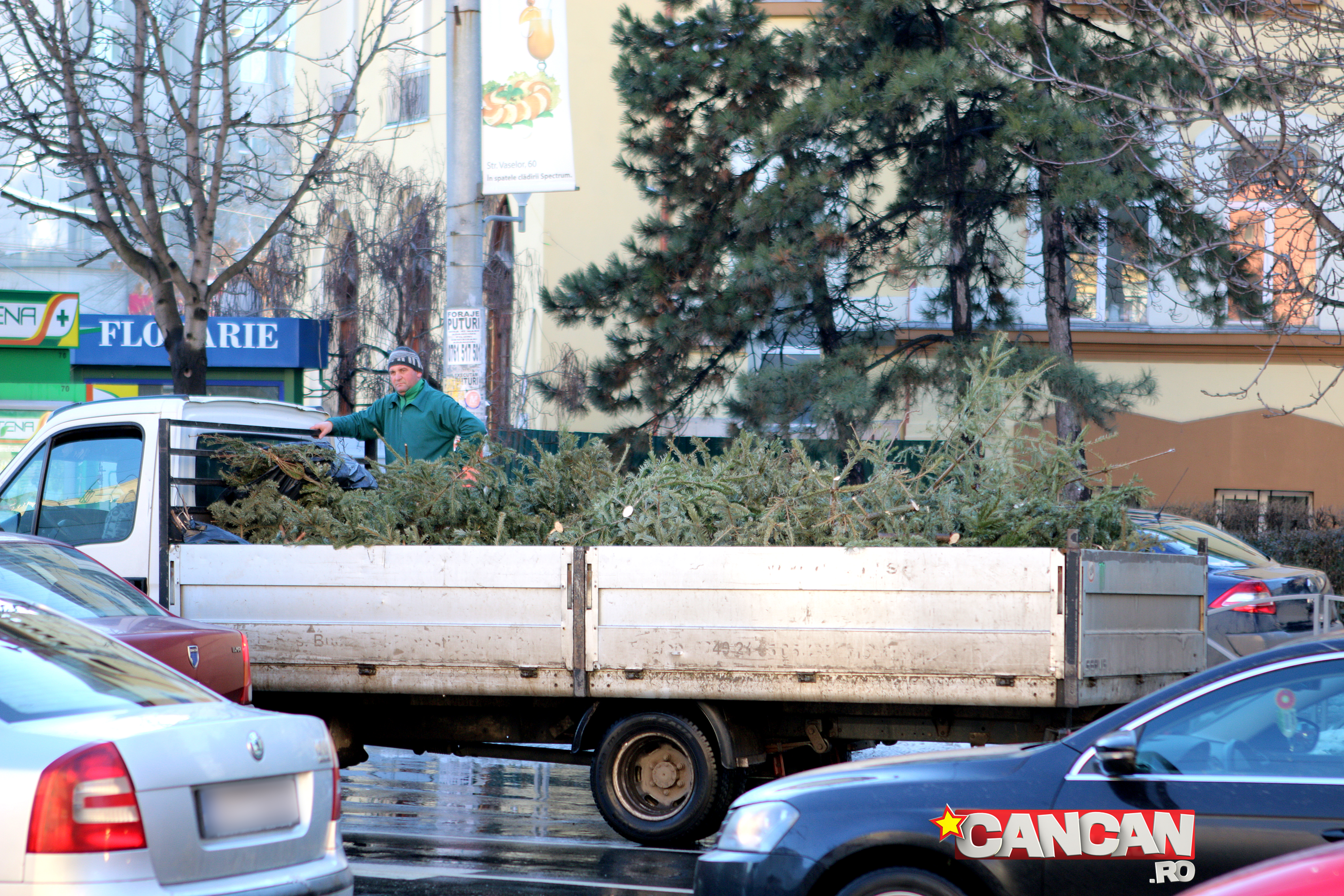 “Dorel”, paznicul brazilor folositi si abandonati