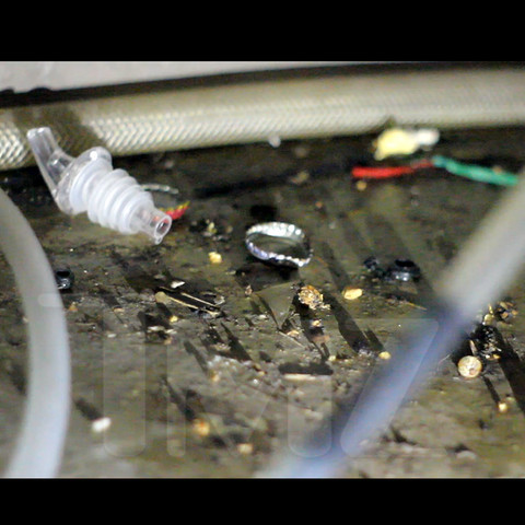 Site-ul TMZ a fotografiat gandaci in incinta teatrului