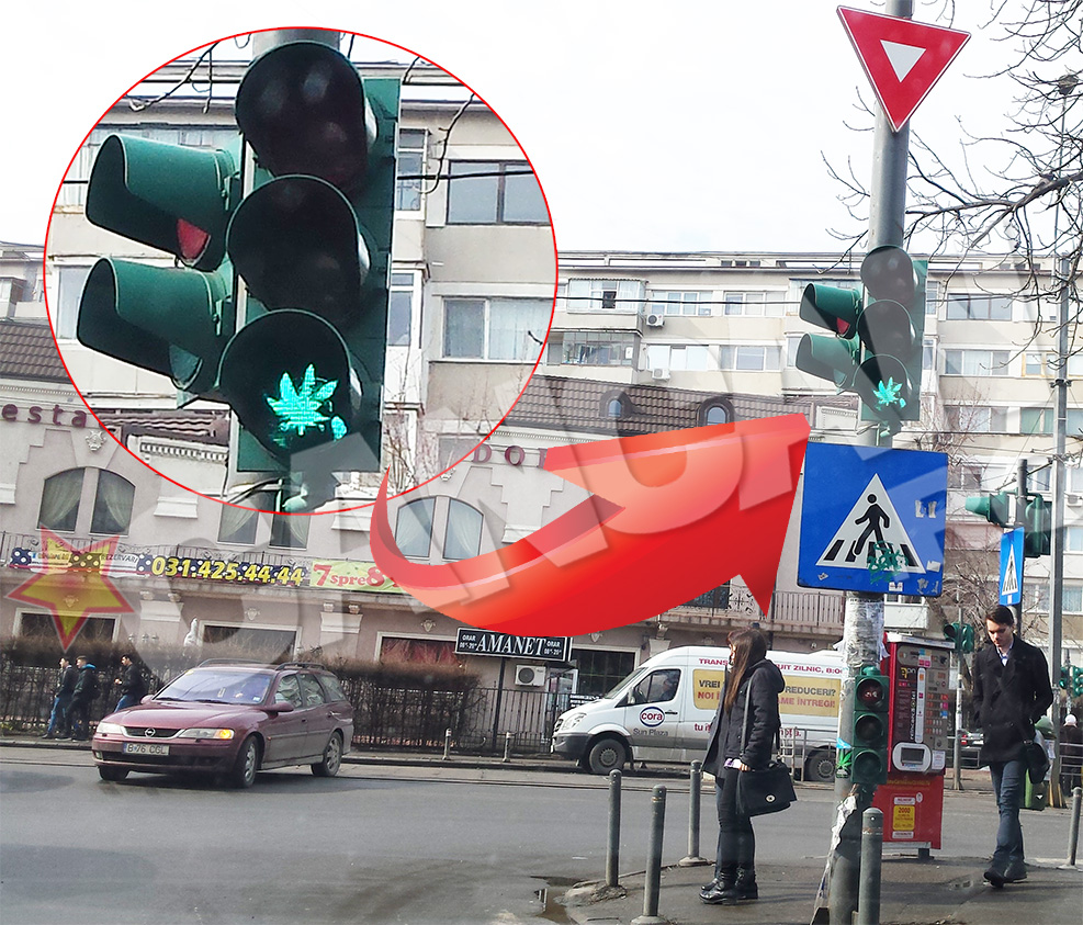 Frunza de marijuana apare cand semaforul se face verde