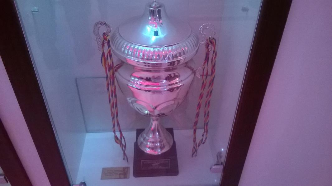 Una dintre cupele din muzeul dinamovistilor