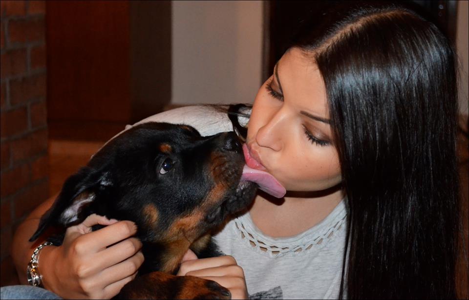 Sandrei ii plac cainii. In trecut, Adi Mutu a fost