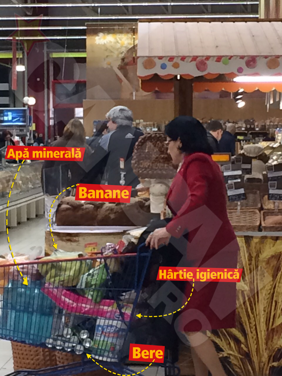 Ecaterina Andronescu