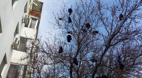 Femeia i-a aruncat barbatului infidel lenjeria intima pe geam