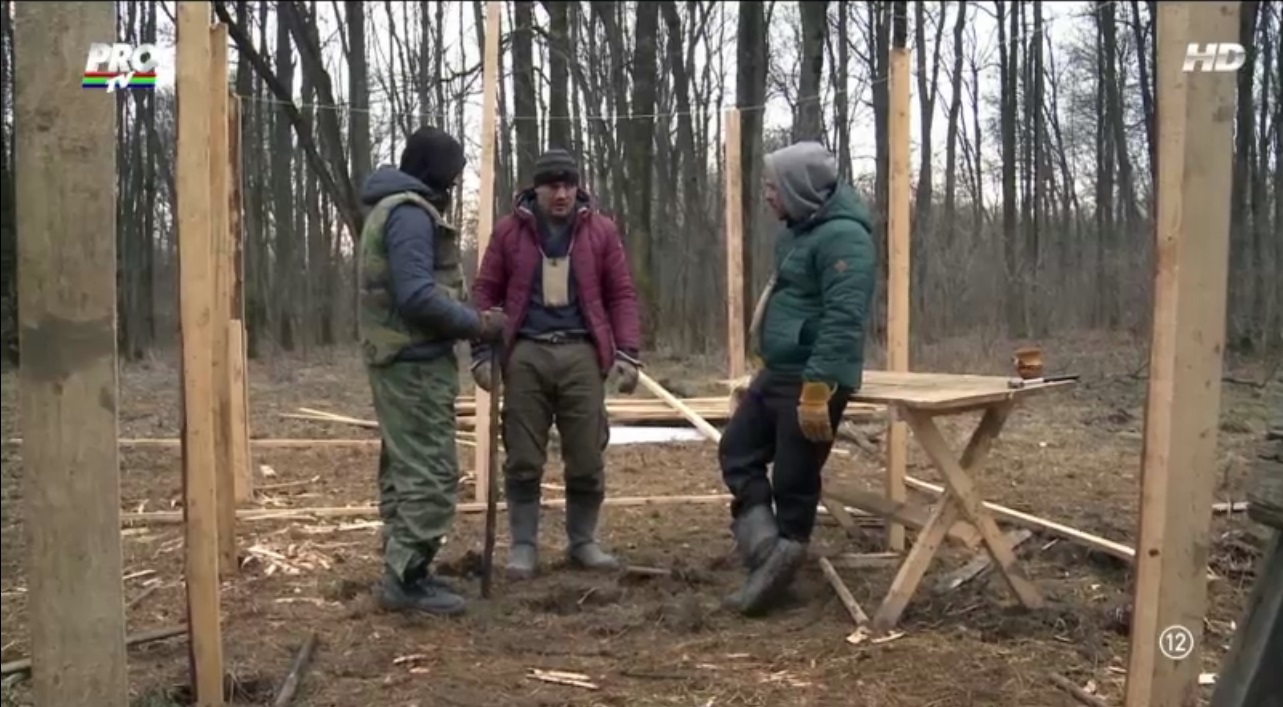 Vedetele au muncit pe branci la