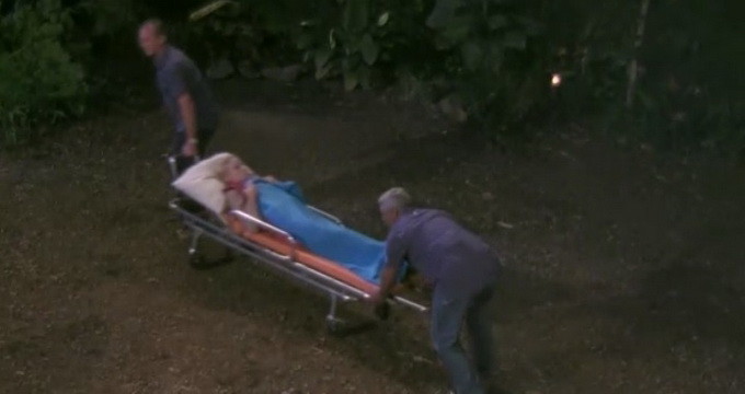 Luminita Nicolescu a plecat pe targa, de la 