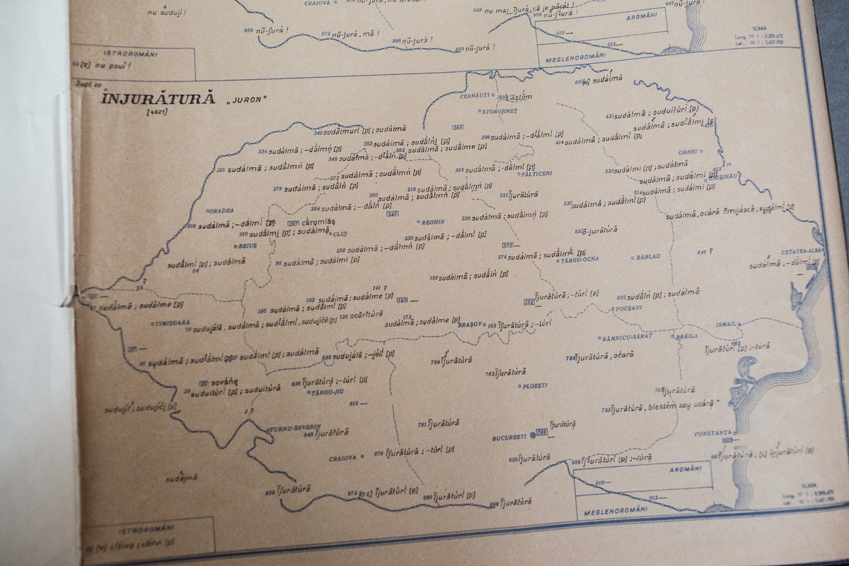 Atlasul lingvistic roman - Cuvinte obscene