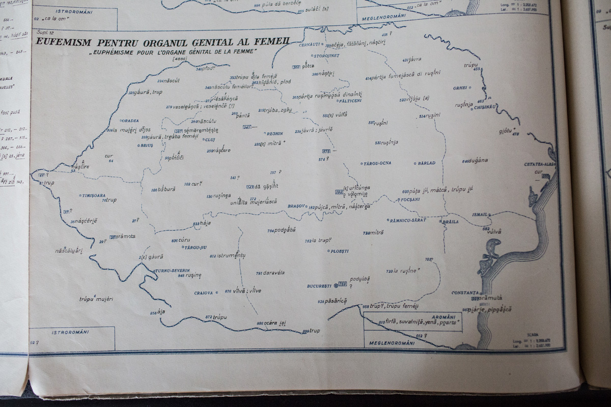Atlasul lingvistic roman - Cuvinte obscene