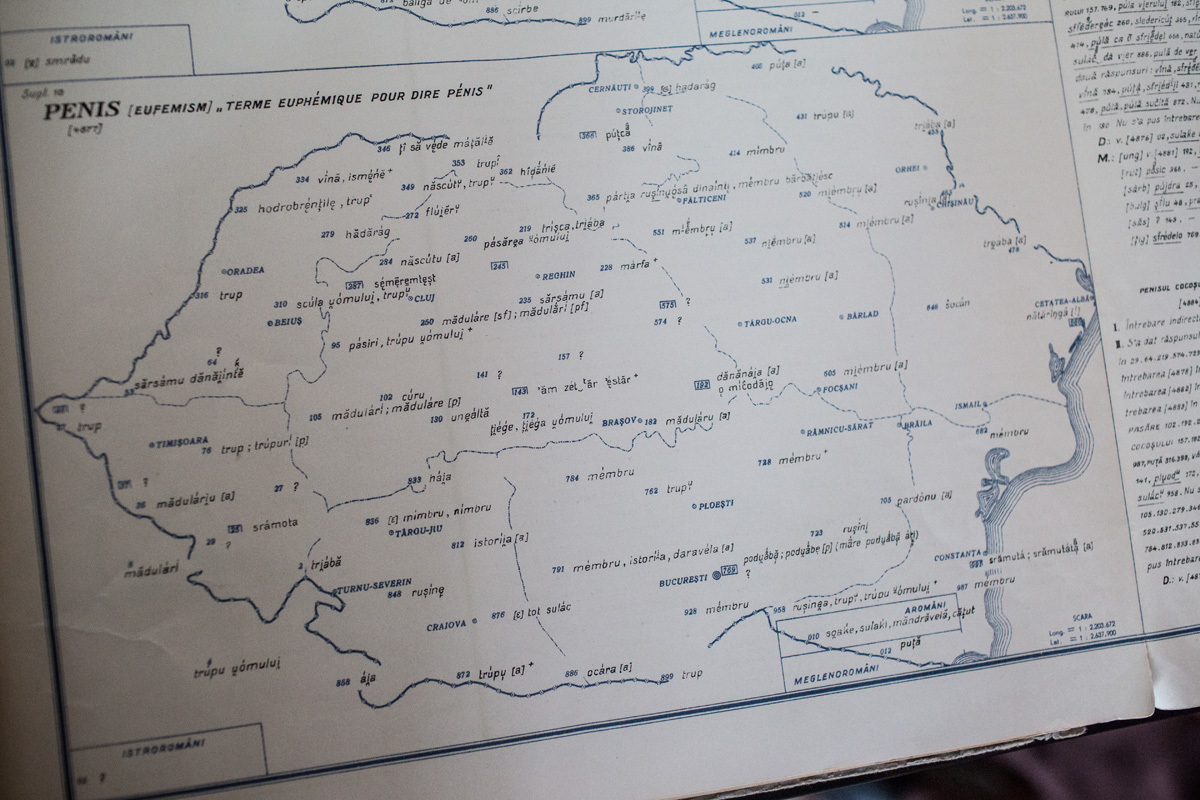 Atlasul lingvistic roman - Cuvinte obscene