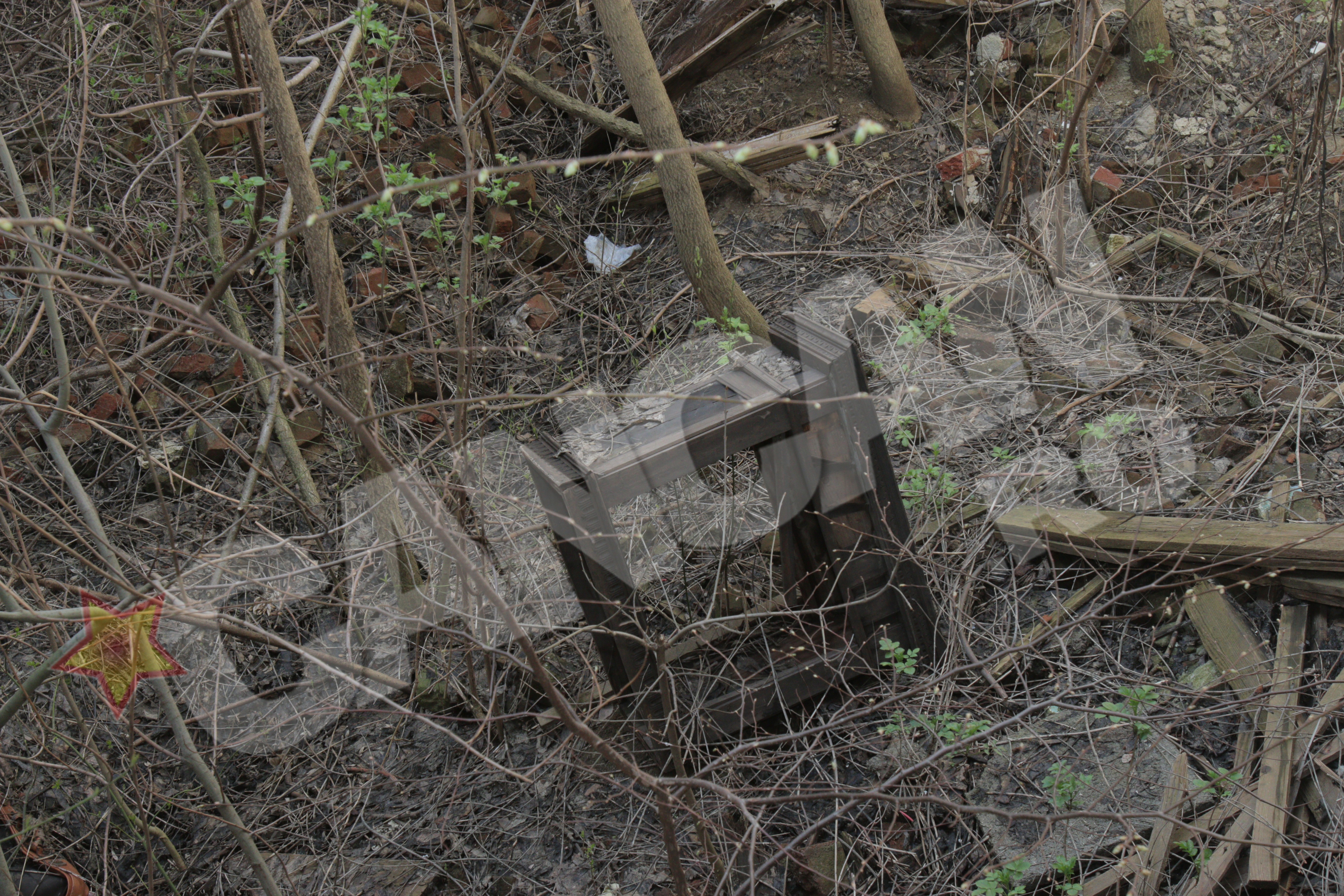 O consola din lemn masiv (cel mai probabil mahon) zace precum un monument funerar in ce a fost odata salonul principal