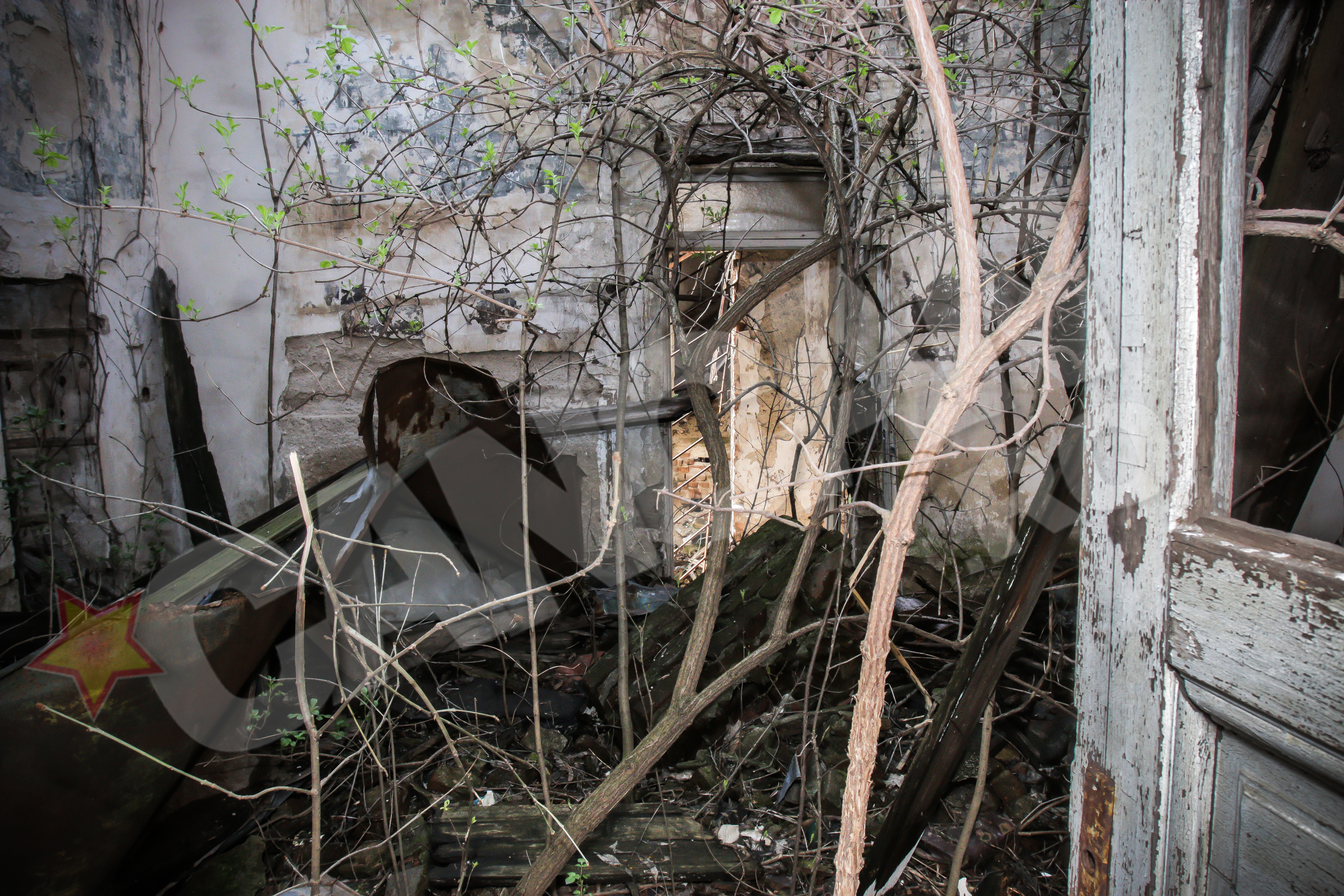 Vegetatia creste acum in locul in care, pe vremuri, se organizau seratele elitei