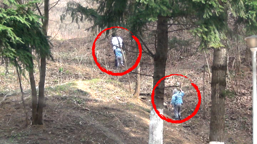 In timp ce au urcat dealul, copiii au cazut de mai multe ori