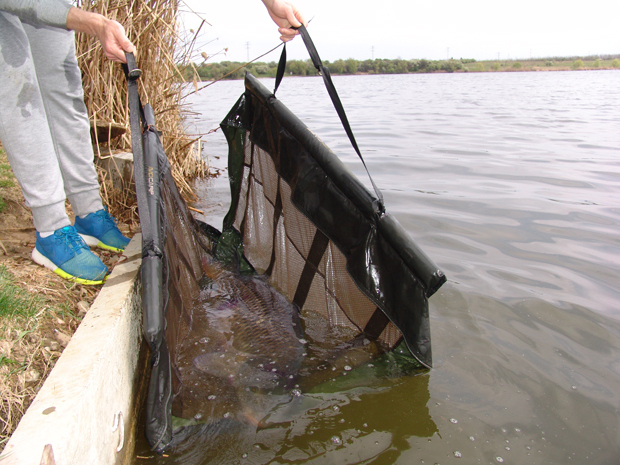 Arlauskis a mers pe lac impreuna cu sotia si copilul sau