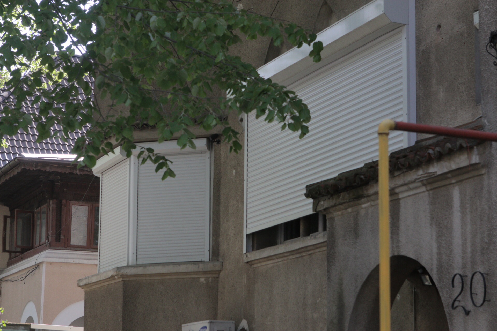 Zavo a iesit pentru scurt timp la geam. Era transfigurata de durere