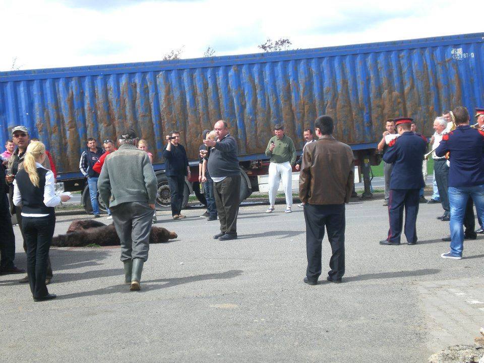 In parcareea de la marginea drumului national s-a strans lumea ca la urs. In mijloc atentiei, vanatorul!