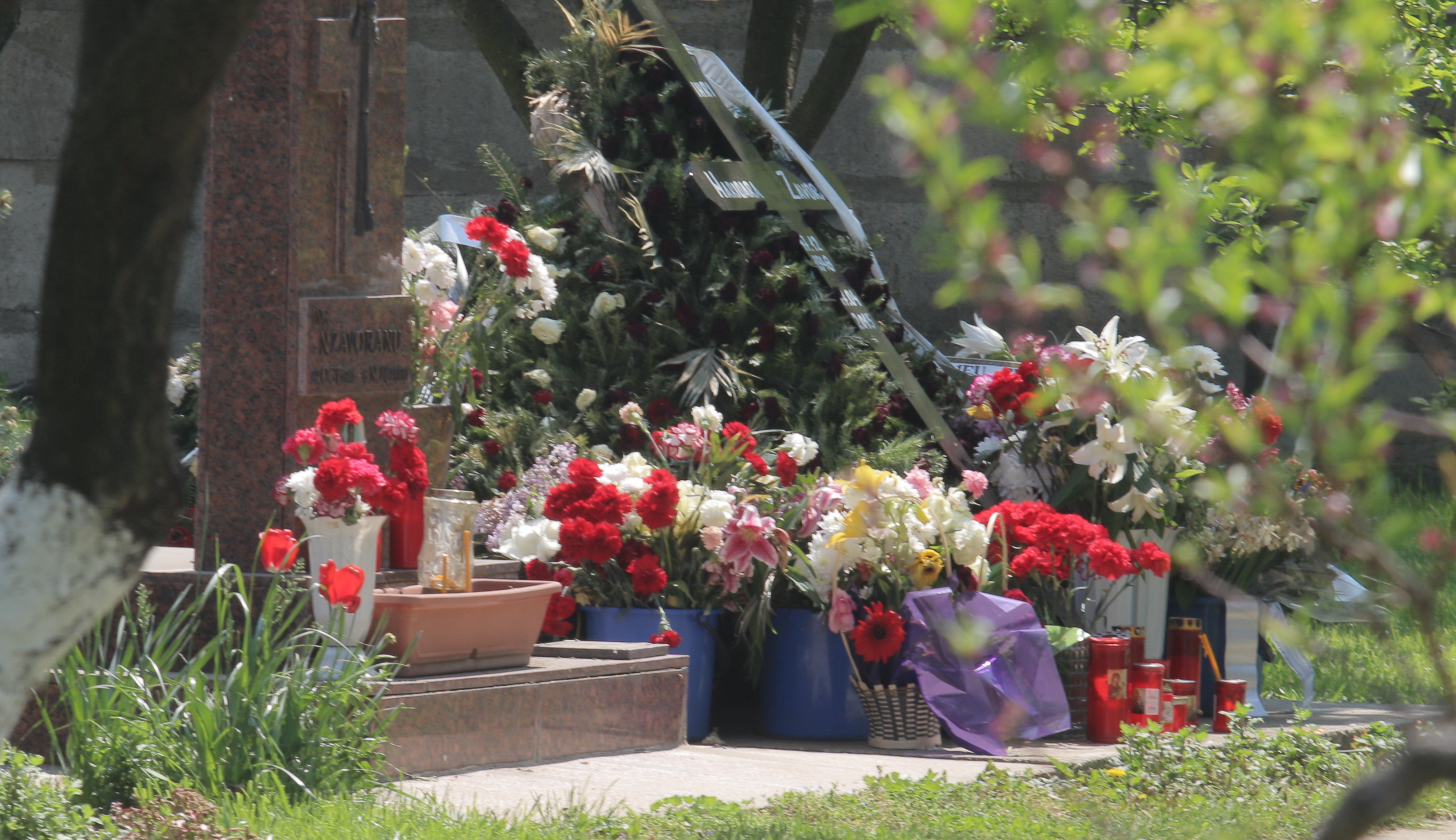 Mormantul Marioarei Zavoranu